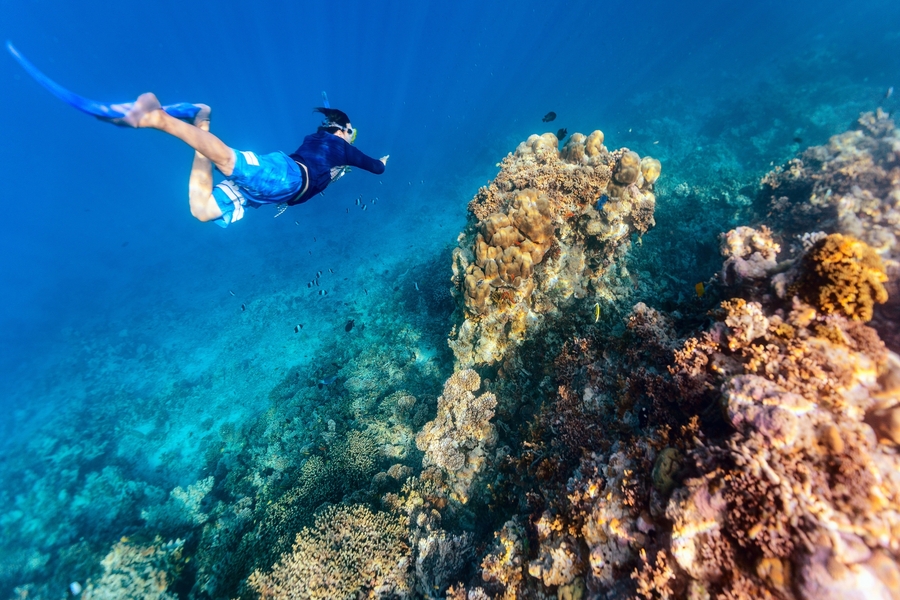 The Complete Guide to Exploring Zanzibar Coral Coast