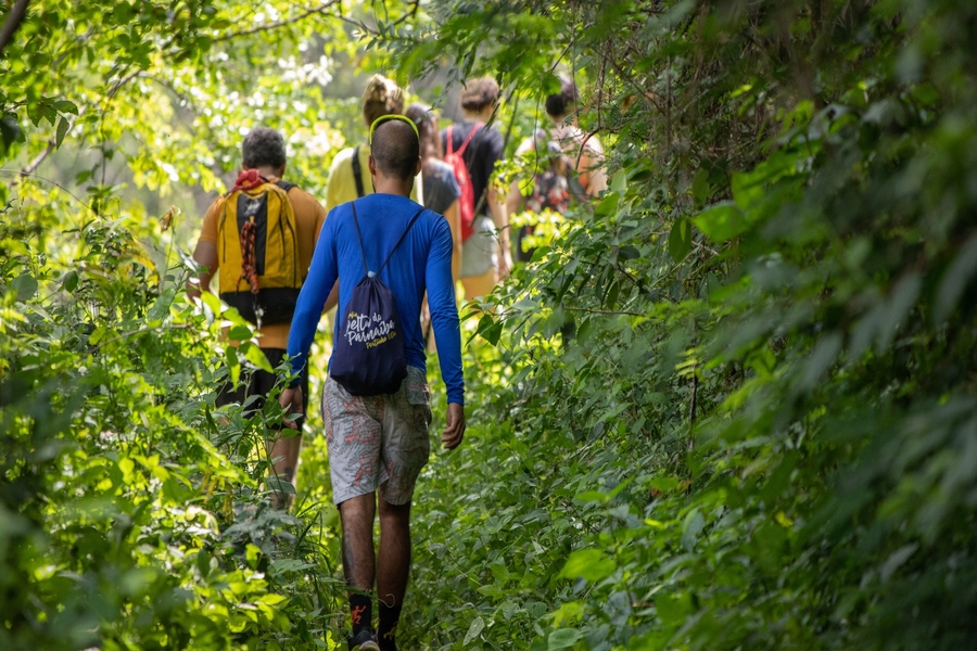 A Road Trip to Zanzibar Mangrove Forests for Nature Lovers