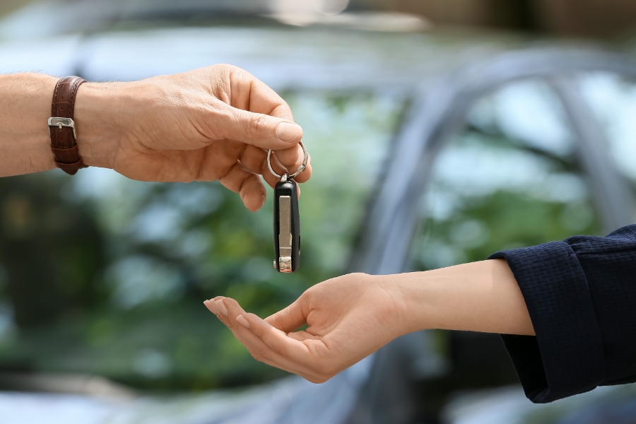 How Much It Costs to Rent a Car in Zanzibar