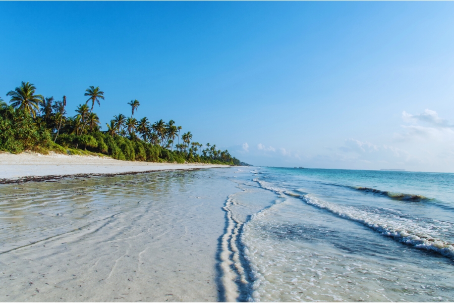 How to Explore Zanzibar’s Wild Coastlines by Car