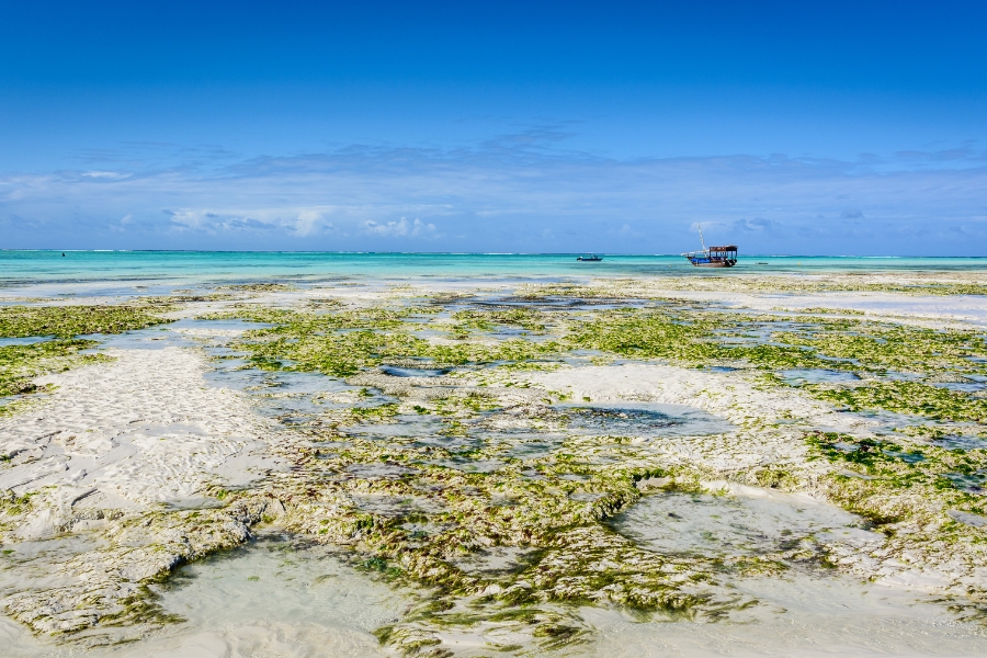 The Ultimate Travel Guide to Nungwi in Zanzibar