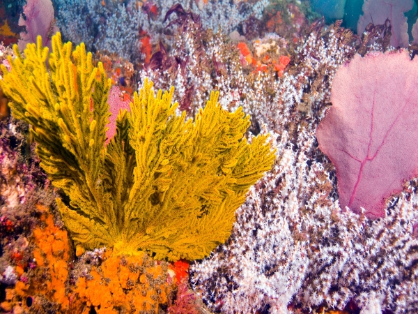 5 Zanzibar Marine Parks You Should Visit on Your Island Trip