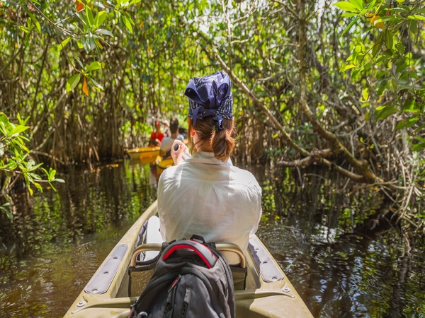 A Road Trip to Zanzibar Mangrove Forests for Nature Lovers