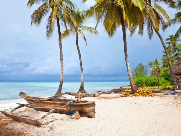 Self-Drive Guide to Makunduchi and Southern Zanzibar