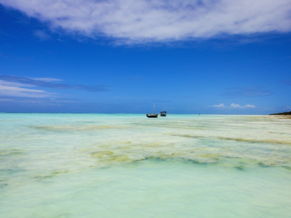 The Ultimate Travel Guide to Nungwi in Zanzibar