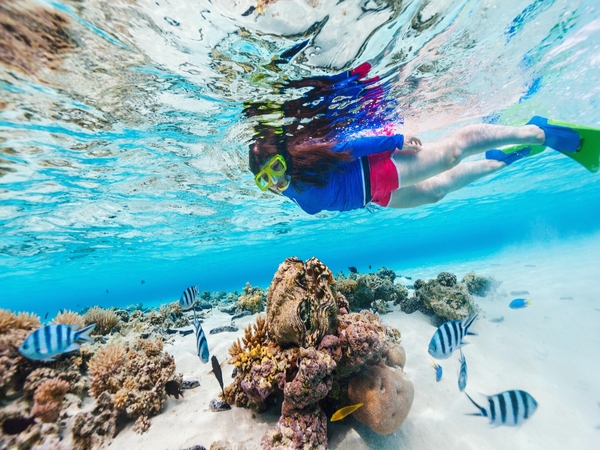 What You Need to Know Before Your First Mnemba Snorkeling Tour